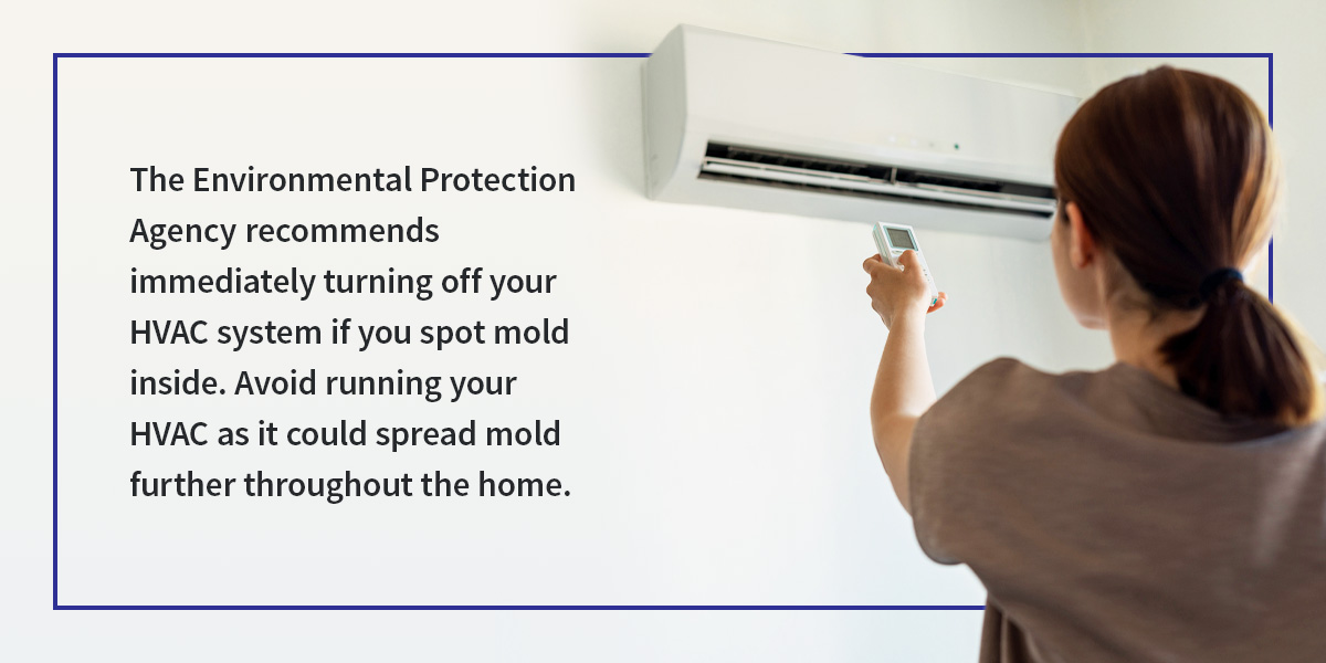 What to Do if You Find Mold in Your AC Unit
